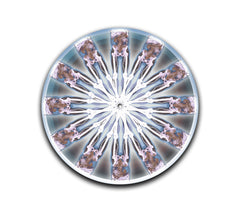 Corpse Caudal Slipmat-1