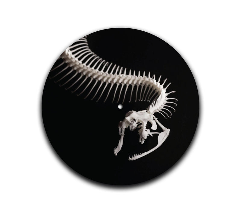 2-sided Snake Skelly Slipmat-1