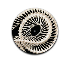 2-sided Snake Skelly Slipmat-2