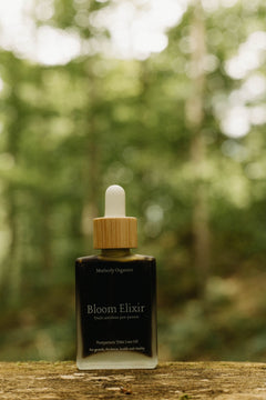 Bloom Elixir | Hair Growth Treatment | Motherly Organics-2