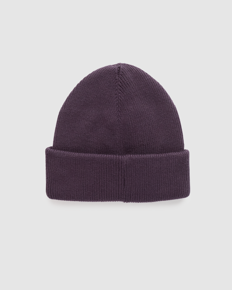 Tentree Trees Alden Beanie-2