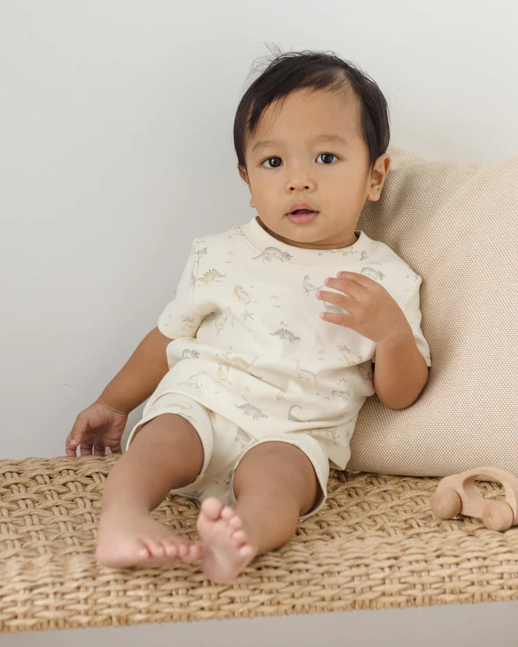 Summer Pajama Set | Dinosaur | Quincy Mae-1