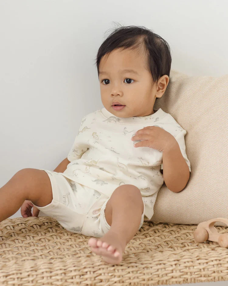 Summer Pajama Set | Dinosaur | Quincy Mae-2