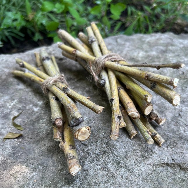 Willow Branch Bundle for Rabbits-3