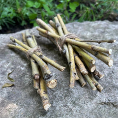 Willow Branch Bundle for Rabbits-3