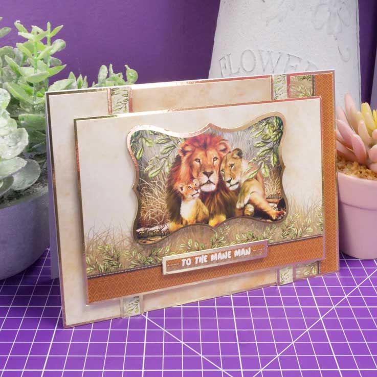 Quick Cards - Into the Wild-10