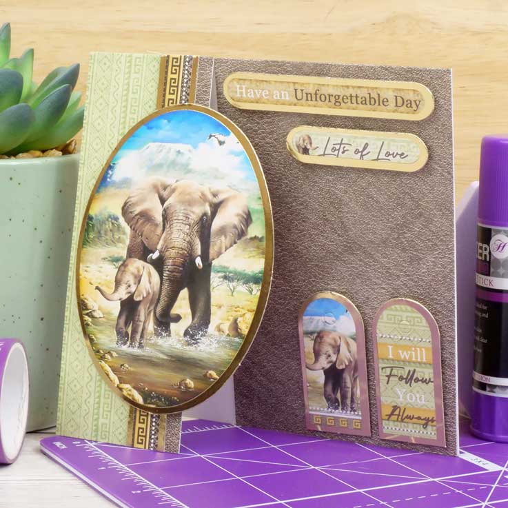Quick Cards - Into the Wild-6