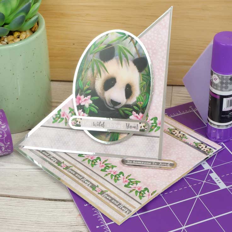 Quick Cards - Into the Wild-11