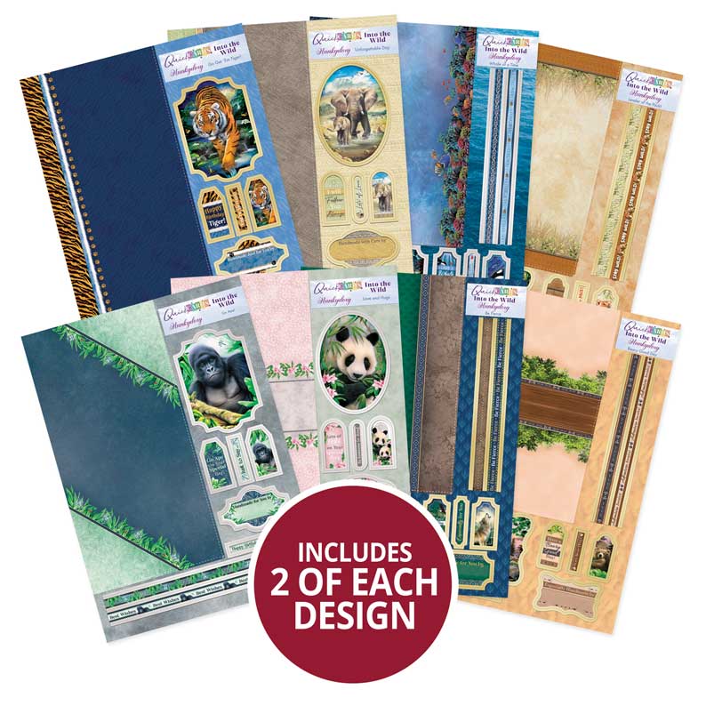 Quick Cards - Into the Wild-2