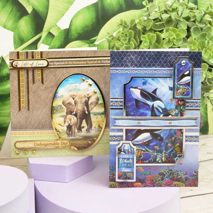 Quick Cards - Into the Wild-9