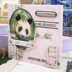 Quick Cards - Into the Wild-5
