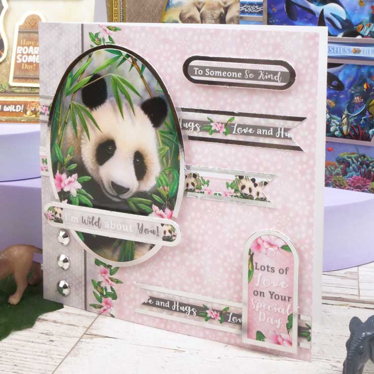 Quick Cards - Into the Wild-5