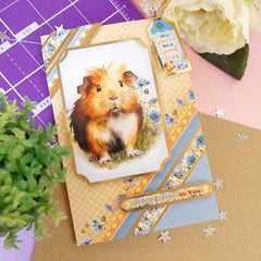 Quick Cards - Perfect Pets-9