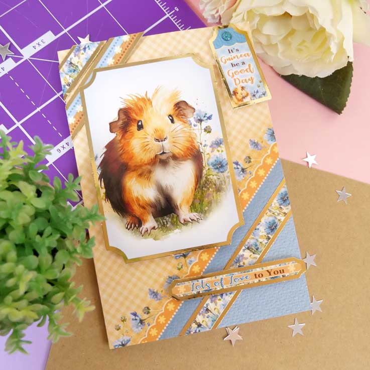 Quick Cards - Perfect Pets-9
