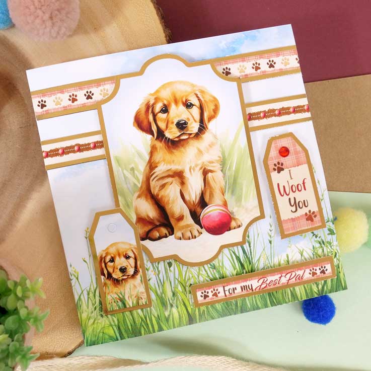 Quick Cards - Perfect Pets-10