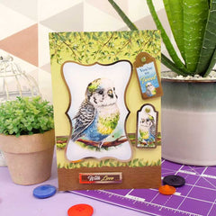 Quick Cards - Perfect Pets-3