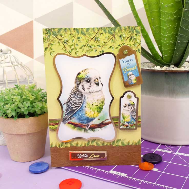 Quick Cards - Perfect Pets-3