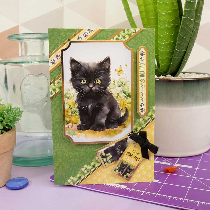 Quick Cards - Perfect Pets-6
