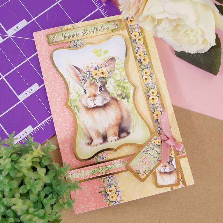 Quick Cards - Perfect Pets-8