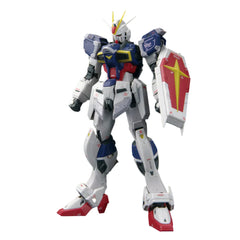 RG 1/144 #39 Force Impulse Gundam Spec II-7