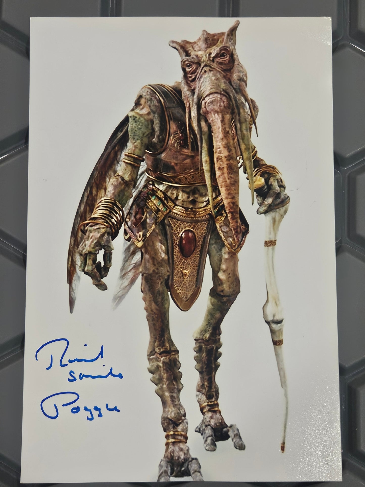 Star Wars – Poggle the Lesser Autographed 8x12 Photo | Signed by Richard Stride with COA