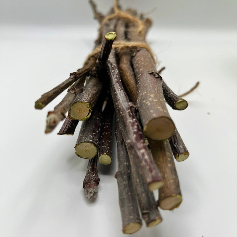 Apple Branch Bundles-1