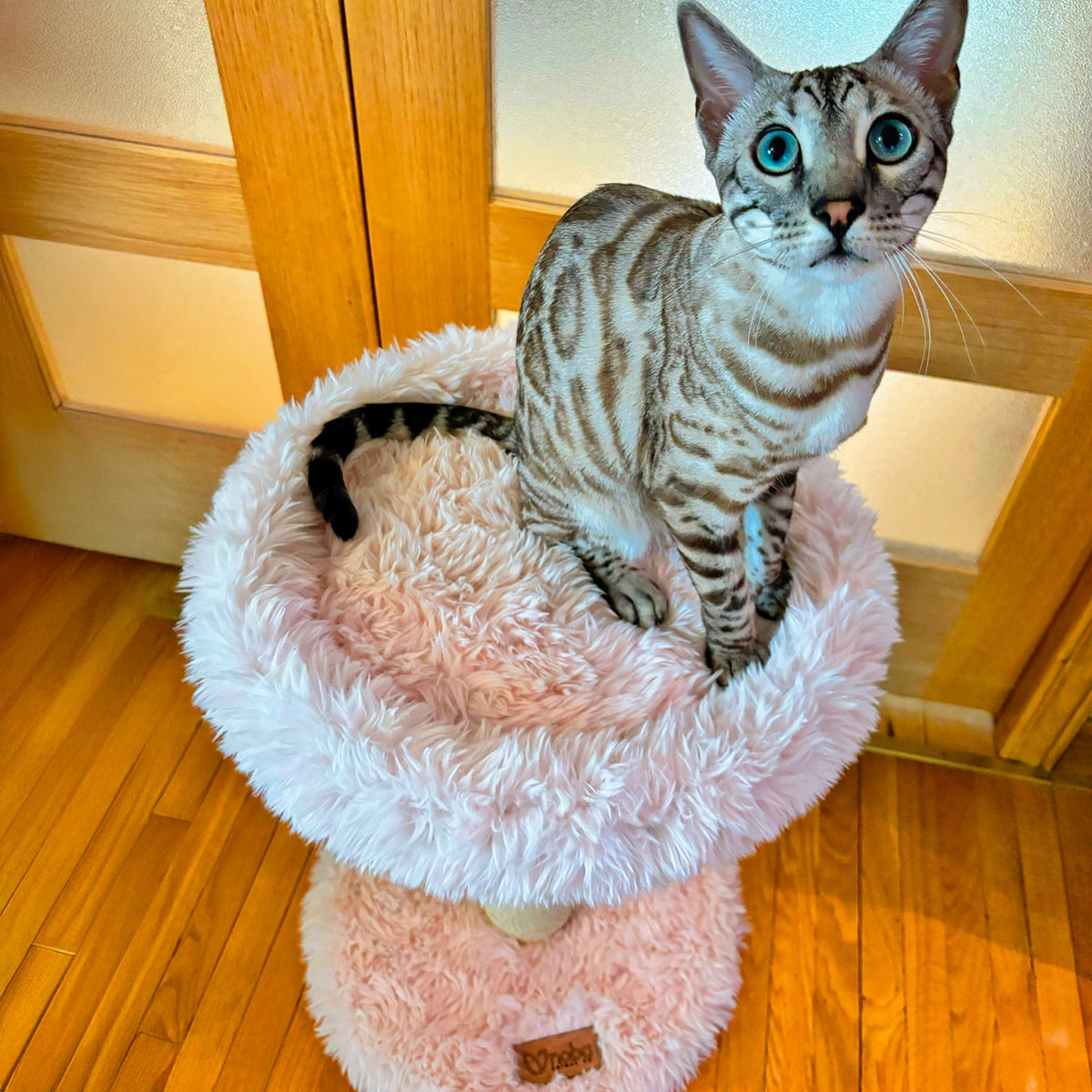 The Blush Perch – 1-Level Cat Tree-11