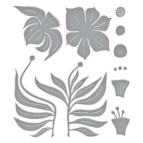 Fresh Picked Daffodils Etched Dies from the Fresh Picked Collection-3