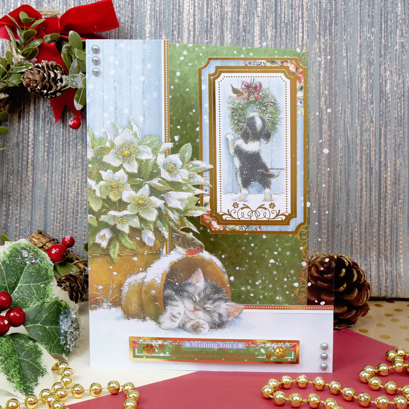 Santa Paws Luxury Topper Collection-2