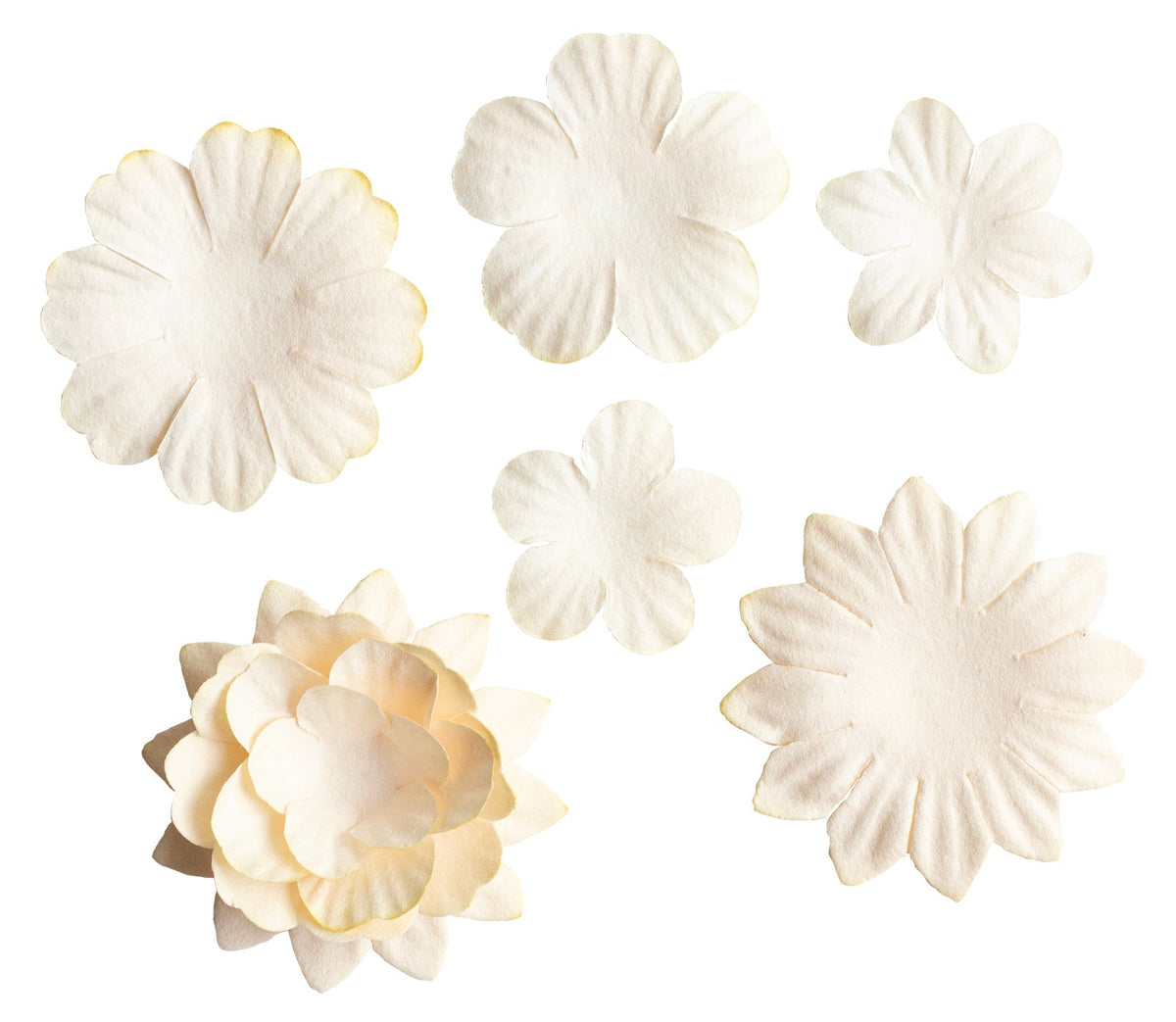 SL Paper Flowers 25x Cream Consumables 25 PC-3