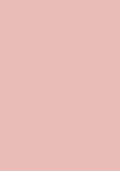 SL Paper Pad Double Sided Unicolor Blushed Essentials 148x210x9mm 36 SH nr.52-18