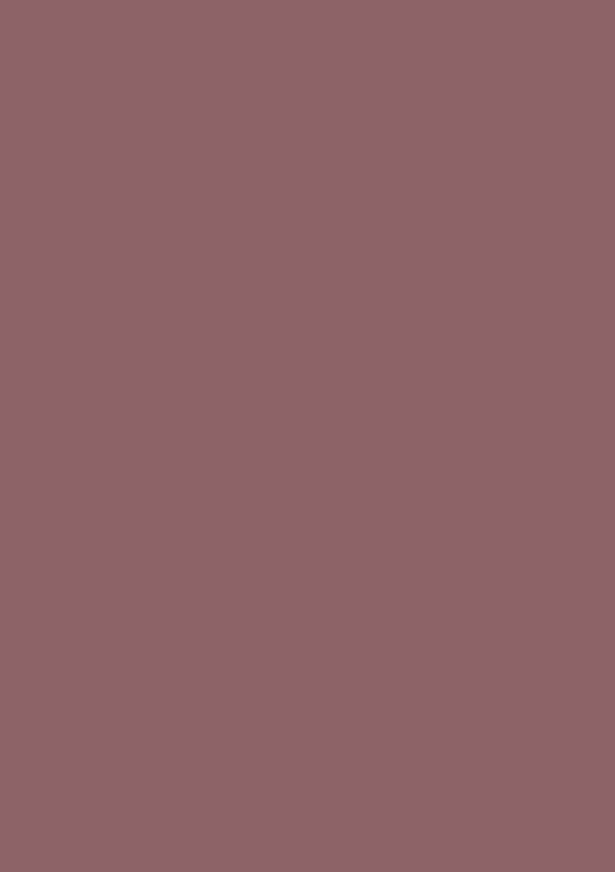 SL Paper Pad Double Sided Unicolor Blushed Essentials 148x210x9mm 36 SH nr.52-31