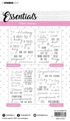 SL Clear Stamp Congratulations Sentiments Essentials 105x148x3mm 1 PC nr.175-2