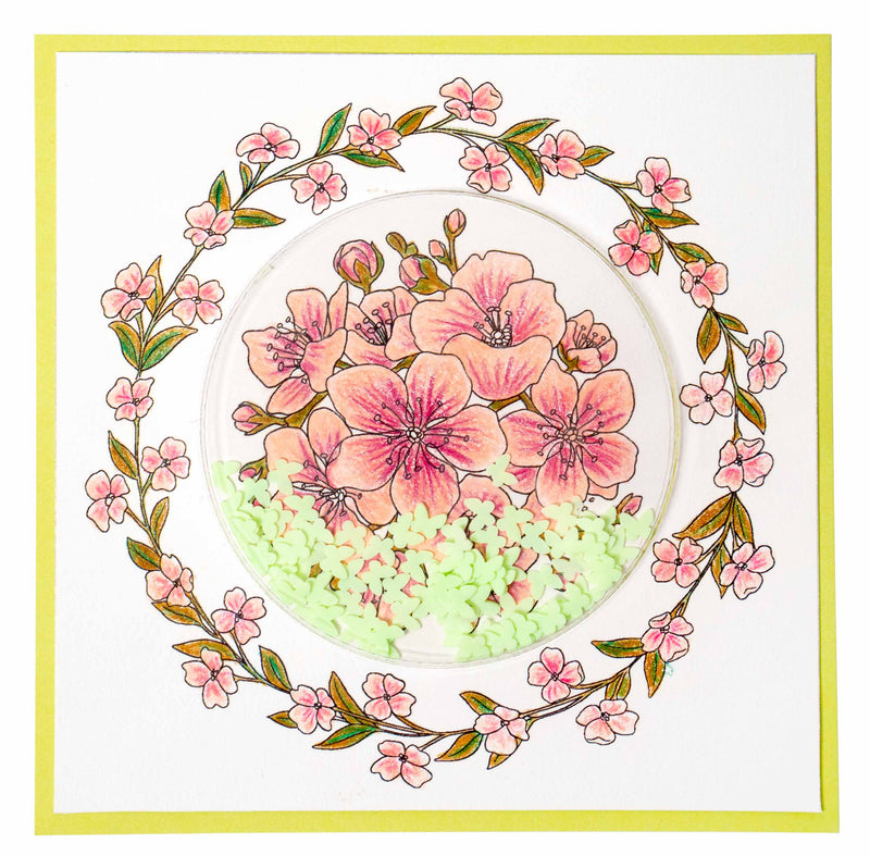 SL Clear Stamp Big Circle Essentials 119x129x3mm 5 PC nr.368-3