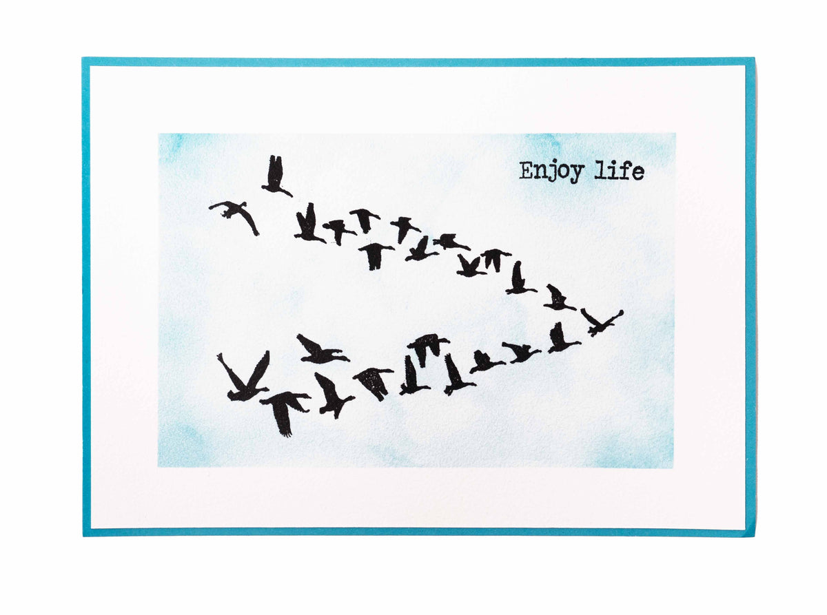 Sello transparente SL Birds Essentials 62x93x3mm 1 ud. n.º 497-3