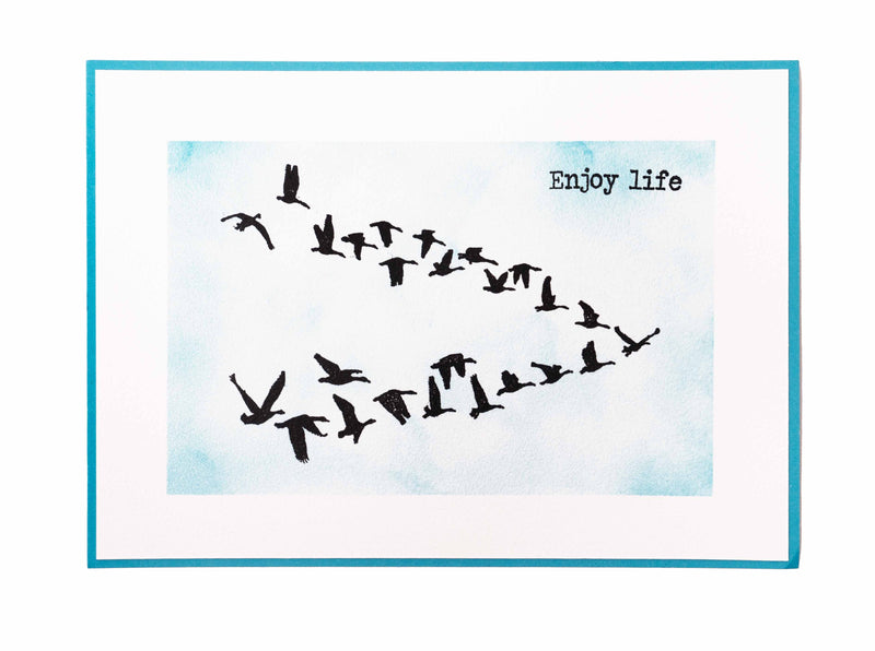 Sello transparente SL Birds Essentials 62x93x3mm 1 ud. n.º 497-3