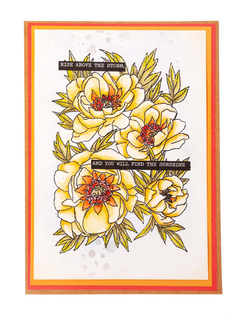 SL Clear Stamp Peonies Essentials 93x136x3mm 1 PC nr.541-3