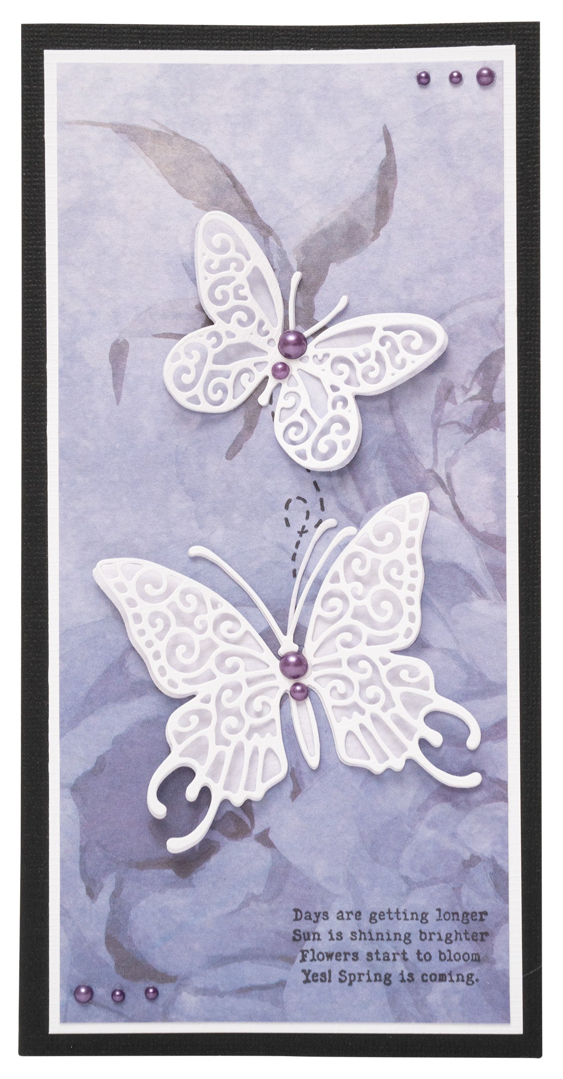 Troqueles de corte SL Mariposas Amante de la naturaleza 103x144x1mm 5 piezas n.º 769-4