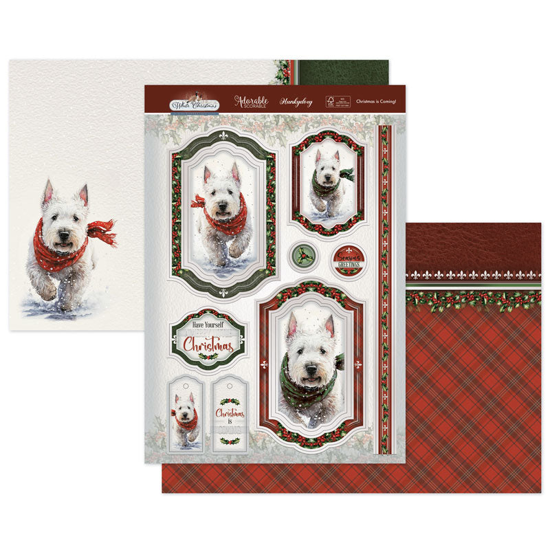 Noël approche ! Ensemble de luxe pour carte-1