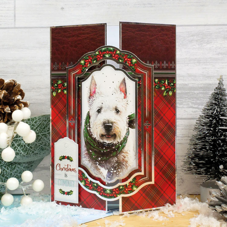 Noël approche ! Ensemble de luxe pour carte-5