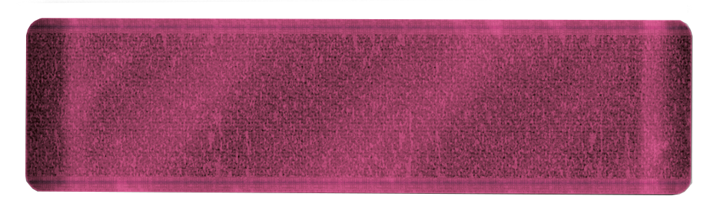 Sara Signature Thorn & Bloom - Velvet Ribbon-2