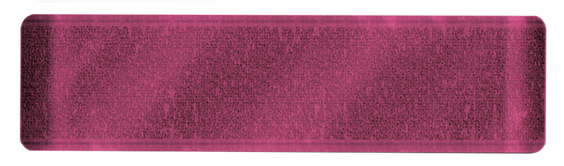 Sara Signature Thorn & Bloom - Velvet Ribbon-2