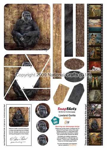 G18 Snapshots Lowland Gorilla-1