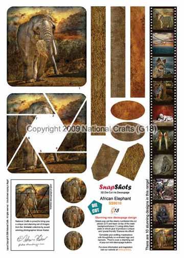 G18 Snapshots African Elephant-1