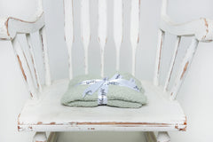 Desert Sage Solid Double Layered Print Toddler Blanket-2