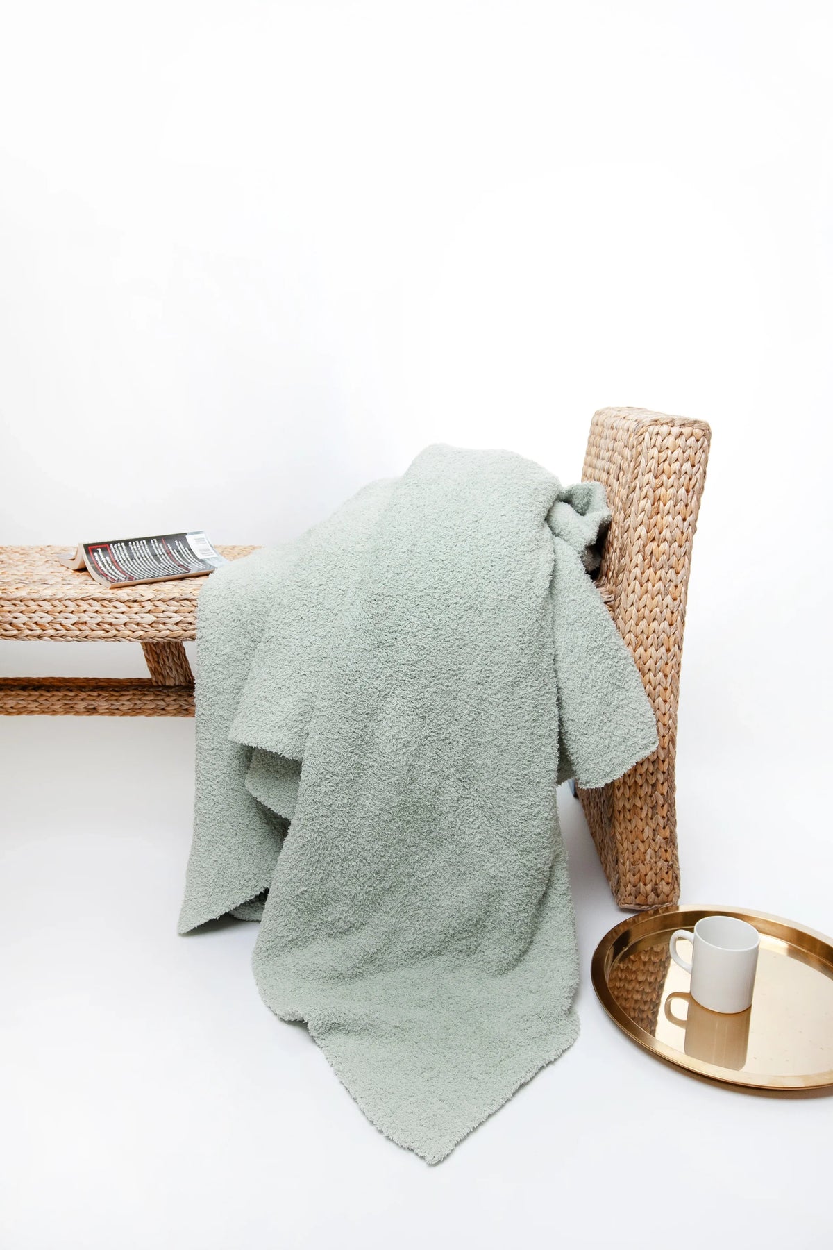 Solid Doubled Layered in Desert Sage Twin Bed Blanket-1