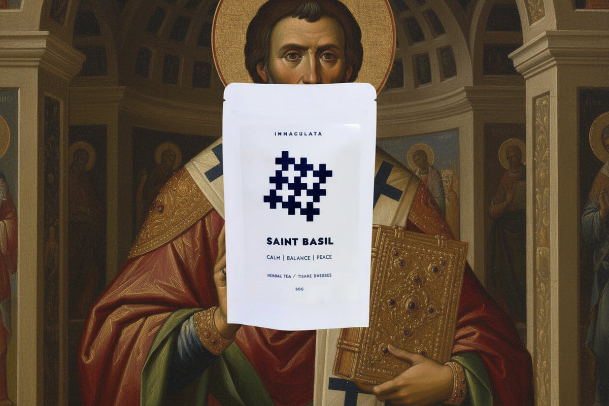 SAINT BASIL // holy basil tonic-4