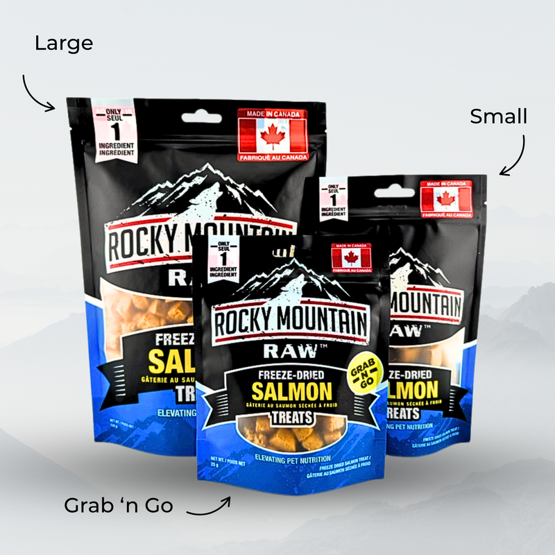 Freeze-Dried Salmon Pet Treats-1