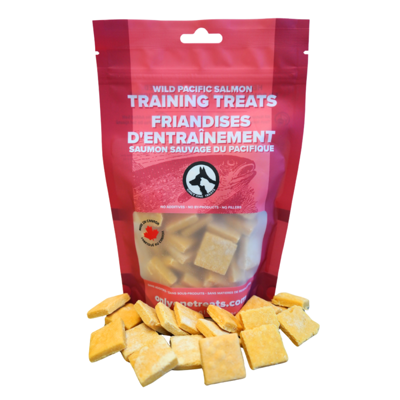 Wild Pacific Salmon Training Treats 170g-1