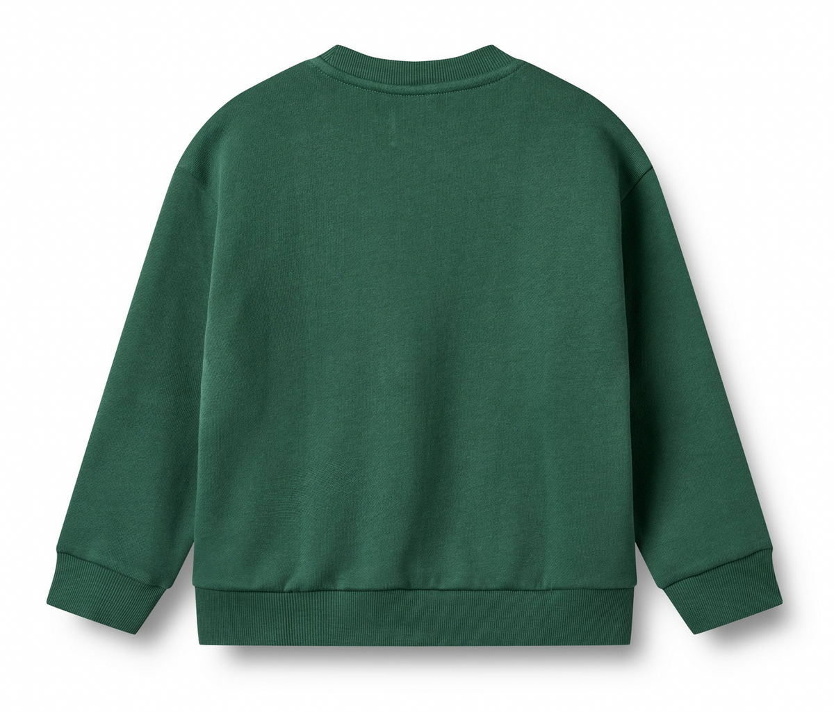 Sweatshirt Shirt | Kale | Wheat Clothing-2